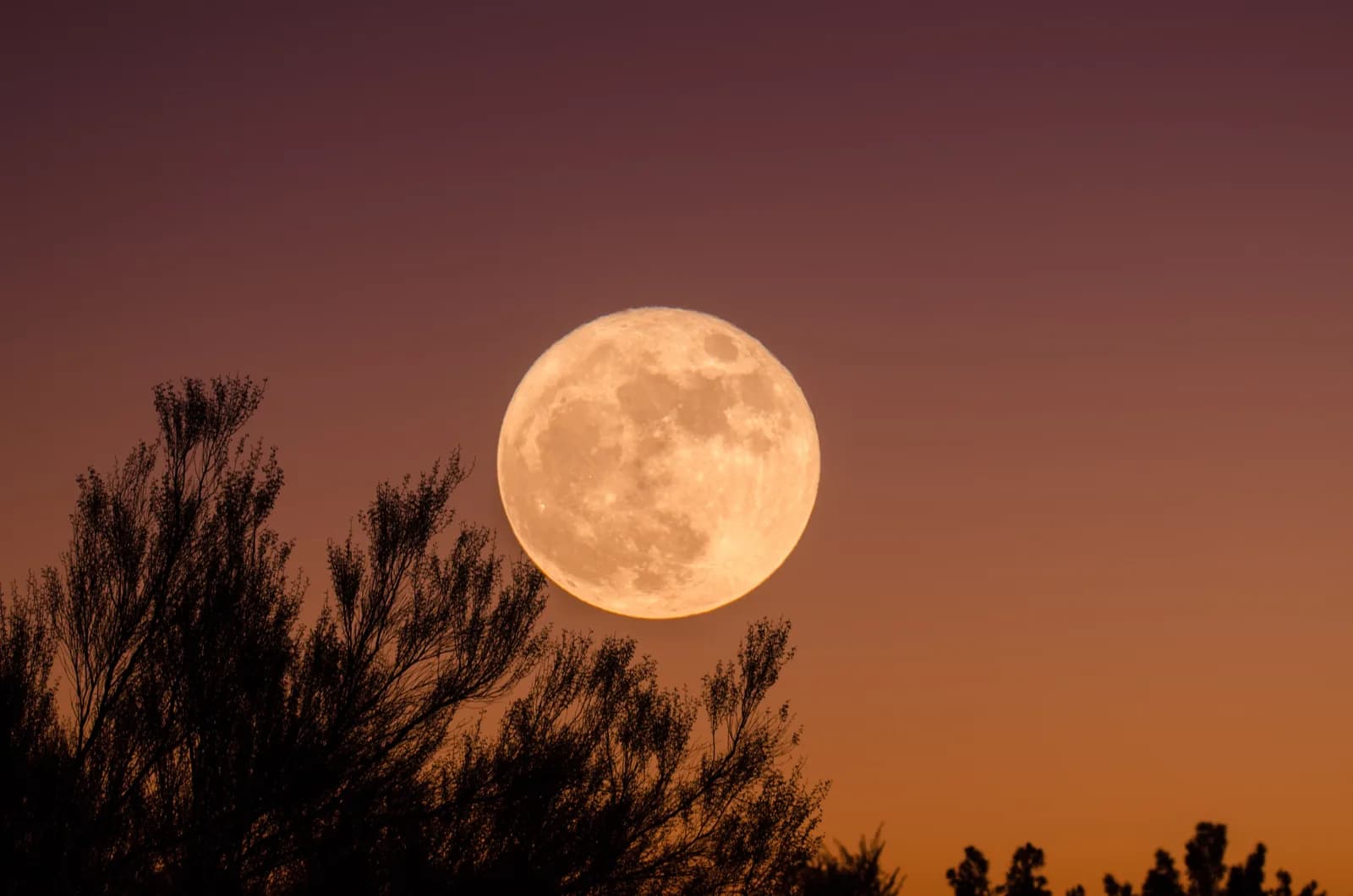Catch the Astrological Manifesting Wave With This Full Moon...