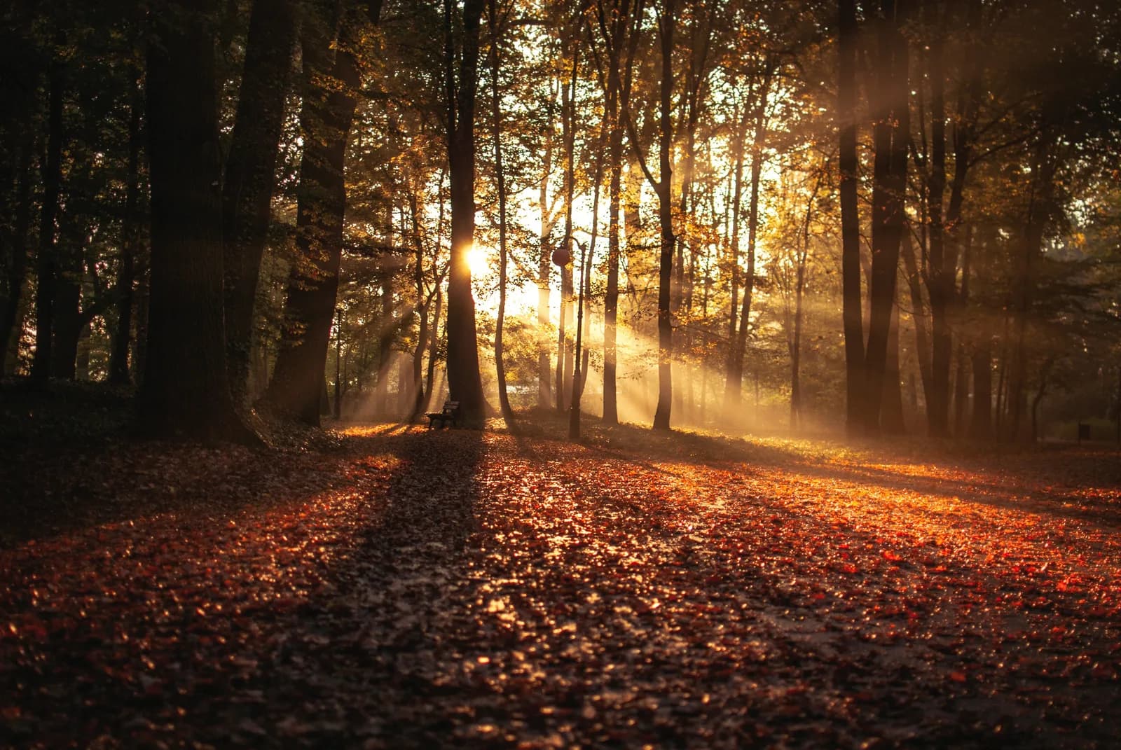 May Energies - Faster than the speed of light and maintaining your Frequency...