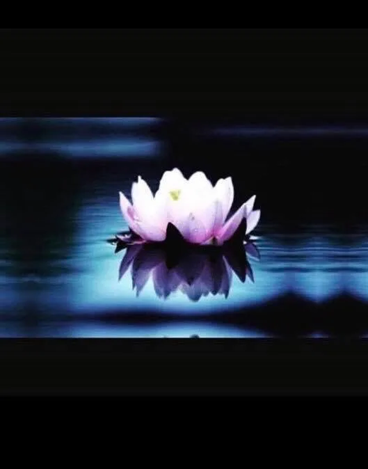 The Cancer New Moon: Emotional Renewal Meets Inner Clarity..